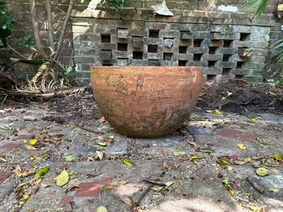 Large Terracotta Pot