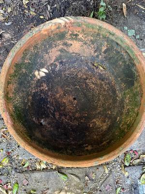 Large Terracotta Pot