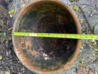 Large Terracotta Pot