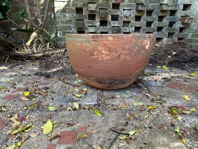 Large Terracotta Pot