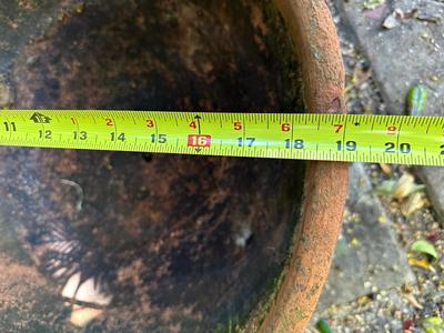 Large Terracotta Pot
