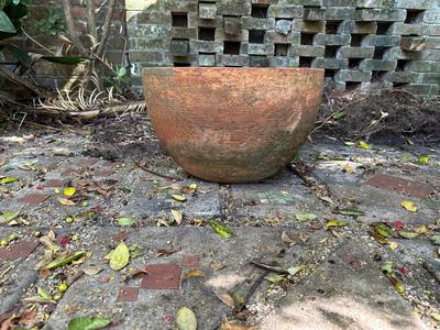 Large Terracotta Pot