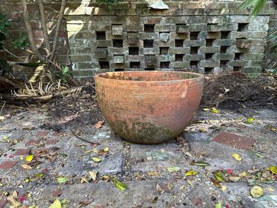 Large Terracotta Pot