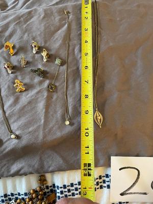 VARIETY OF PINS AND NECKLACES