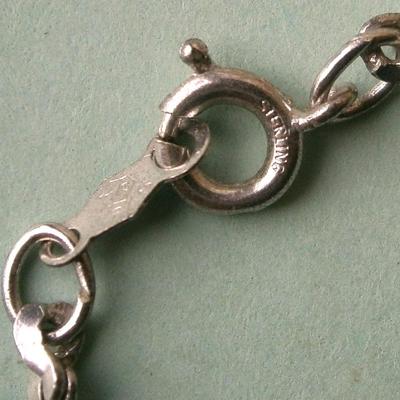 Sterling Silver Horn and Chain