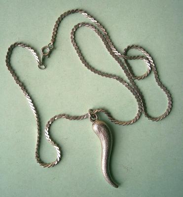 Sterling Silver Horn and Chain