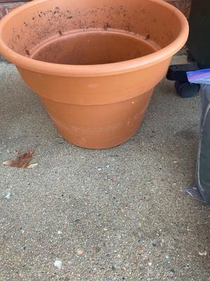 NEAT LITTLE GARDEN KIT PLANTER BOX WITH COVER, PLANTERS, YARD HAND TOOLS, SPRINKLER AND MORE!