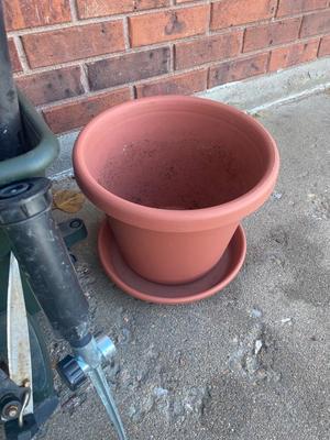 NEAT LITTLE GARDEN KIT PLANTER BOX WITH COVER, PLANTERS, YARD HAND TOOLS, SPRINKLER AND MORE!
