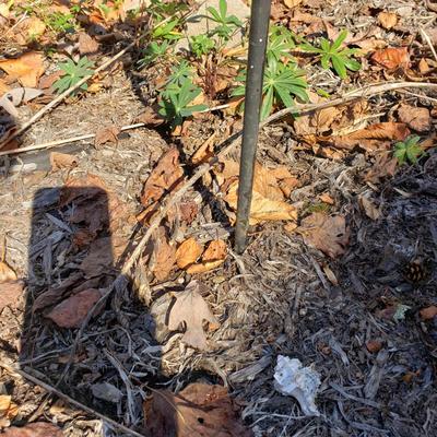 Metal and Pottery Bird Bath (Y-KD)