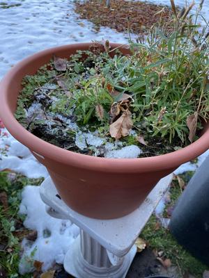 OUTDOOR PEDESTAL AND 13” POTS