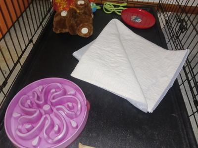 DOG KENNEL/CRATE WITH TOYS AND KONG HARNESS