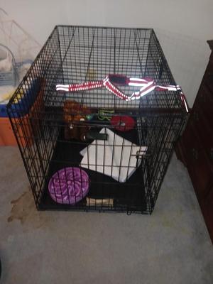 DOG KENNEL/CRATE WITH TOYS AND KONG HARNESS