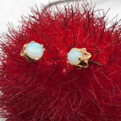 Opal Stud earrings