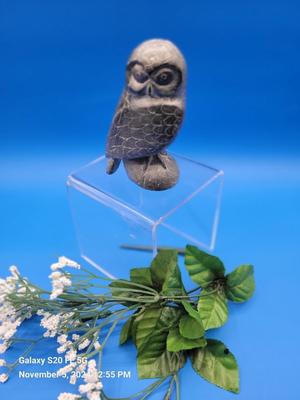 Inuit Owl