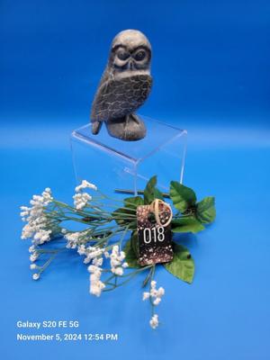 Inuit Owl