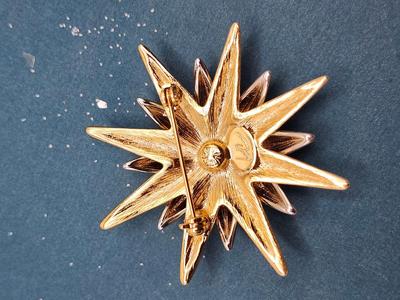 Sunburst Crescent Moon Pin