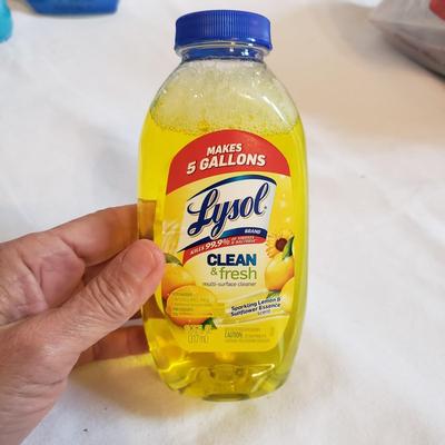 Unopened Cleaning Supplies and Tools (LR-KD)