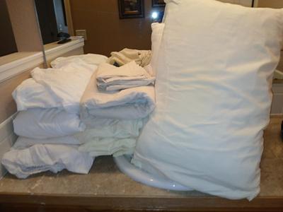 4 Queen sized sheets with two pillows - My pillow sheets, Martex and others