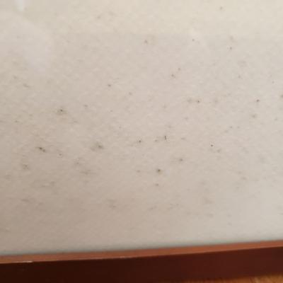 Trio of Jazz Original/Signed Artwork by Eileen Ross (S-KD)