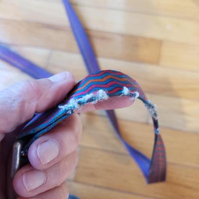 Homeika Dog Grooming Vacuum, Dog Leashes, Coat and More (S-KD)