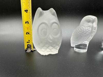 Glass Owl Lot.