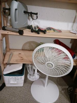 EXERCISE EQUIPMENT AND TALL FAN