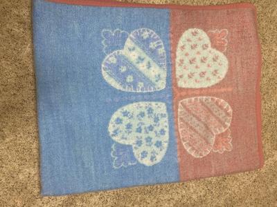 TWO SOFT BIEDERLACK WARM THROW BLANKETS