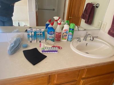 BATHROOM, CLEANERS, CLEANING BRUSHES, LIGHTBULBS, AND MORE!
