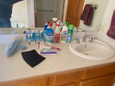 BATHROOM, CLEANERS, CLEANING BRUSHES, LIGHTBULBS, AND MORE!