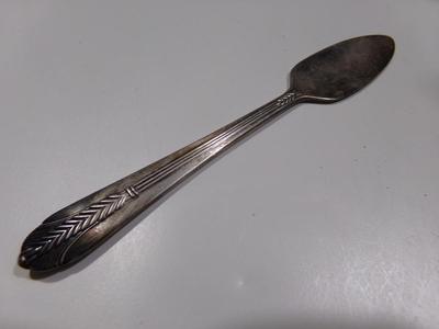 Wm Rogers Mfg.Co. I S unusual place setting paté knife.
