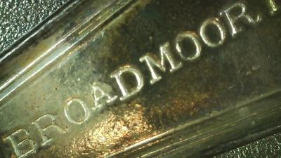 International Silver, hotel plate, tea spoon. look closely at pictures.