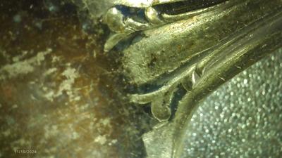 Extra Plate (no name) fancy spoon, silver plate.