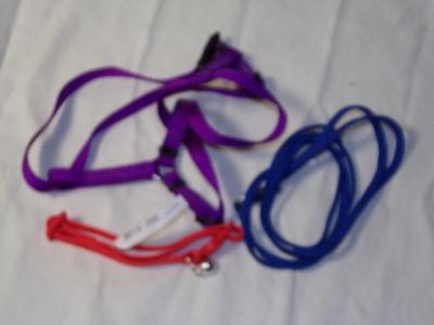 A harness, a collar, a small leash for cat/small dog.