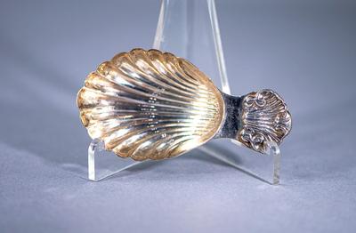 STERLING SILVER SHELL TEA CADDY SPOON