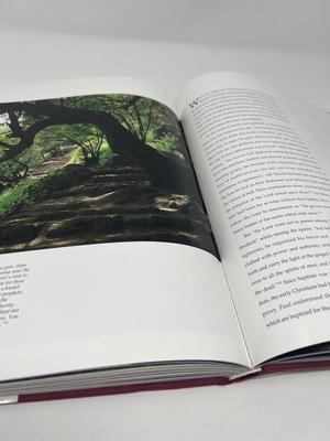 Large Coffee Table Books About Israel-Shapiro
