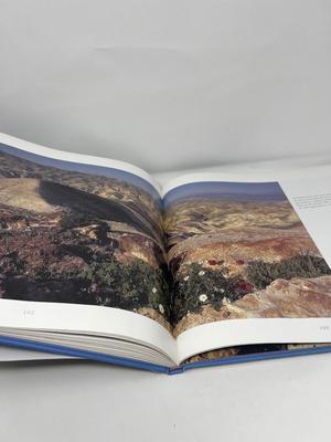 Large Coffee Table Books About Israel-Shapiro
