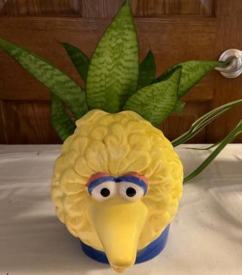 Snake Plant in Big Bird Planter