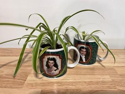 Spider Plants - Gone with the Wind Coffee Cup