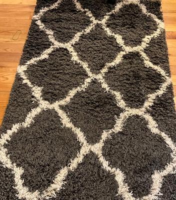 Dallas Shag 3x5 Rug