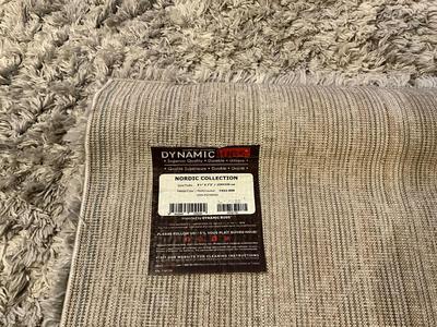 5x7 Shag Rug by Dynamic Rugs