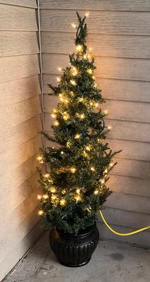3ft Lite Christmas tree in a planter