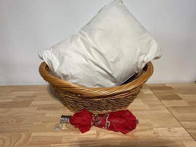 Wicker basket, pillow, unbrella