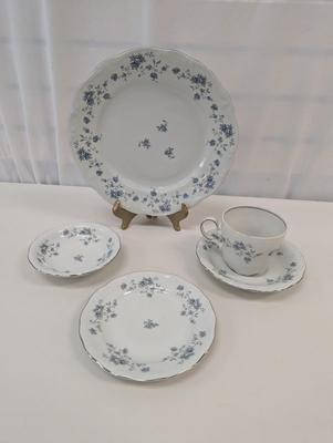 45 Pieces Of Johann Haviland Bavaria Germany China