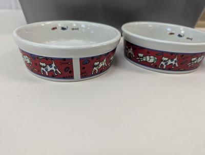 Cat Supplies
