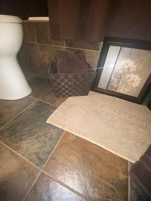 BATHROOM DECOR, SHOWER CURTAIN, TOWELS, RUG AND MORE!