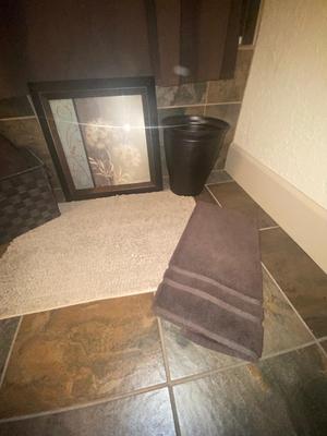 BATHROOM DECOR, SHOWER CURTAIN, TOWELS, RUG AND MORE!