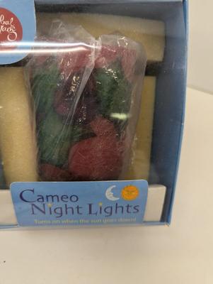 Global Village Glass Studios Cameo Night Lights