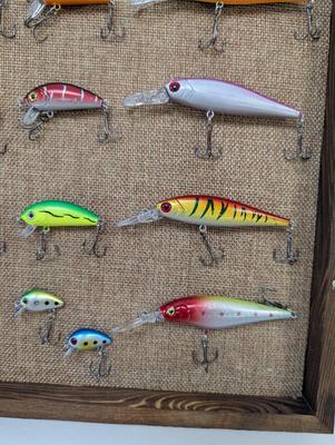 Fishing Lures Shadow Box