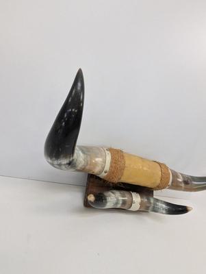 Vintage Steer Horns Western Wall Decor