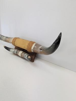 Vintage Steer Horns Western Wall Decor
